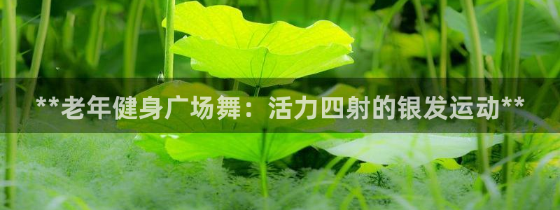 龙8国际游戏娱乐