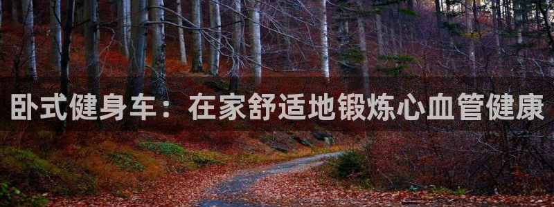龙8国际头号玩家下载