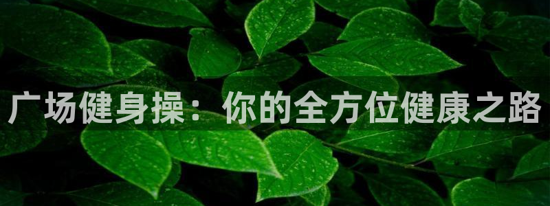 龙8娱乐国际城