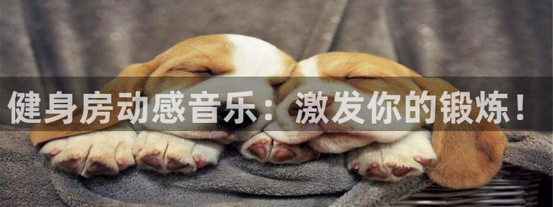 龙8国际官网版