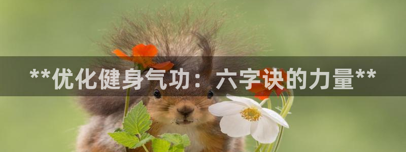 龙8国际官网多少