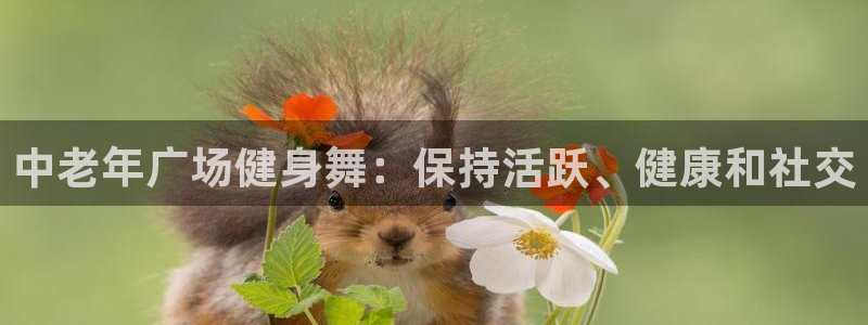 龙八国际娱乐网页多少