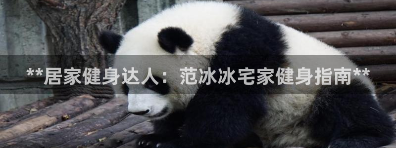 龙8国际手机版注册