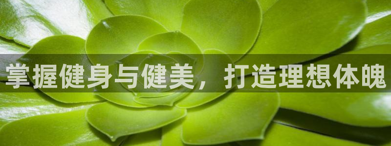 龙8游戏官方进入