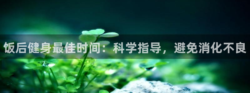 龙8国际com