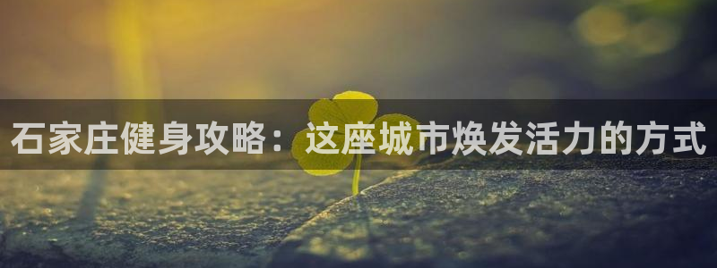 国际龙8唯一登陆