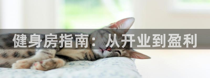 龙8棋牌平台