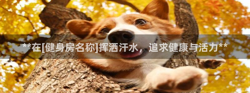龙8国际提现