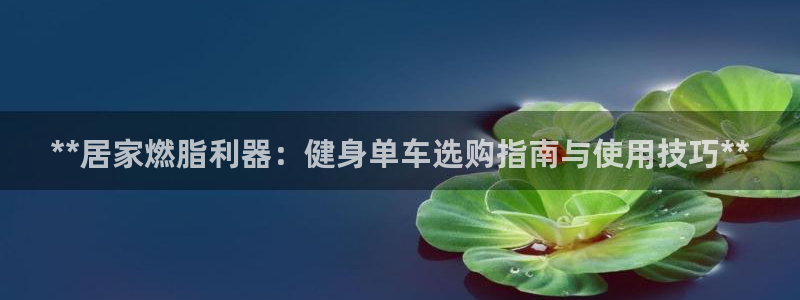 龙8国际官方网站