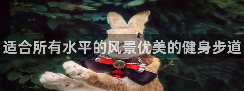 龙8国际官方网址