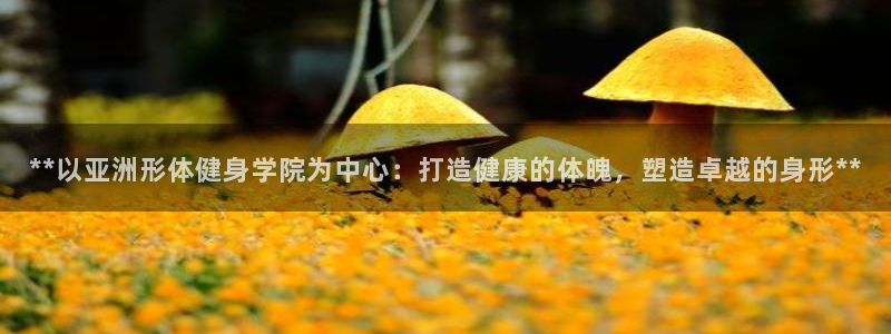 龙8国际app下载安装