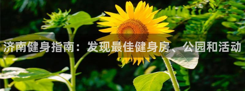 龙8电子游艺网址多少