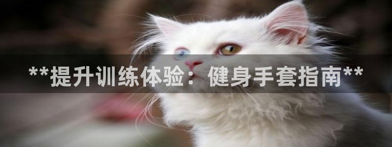 龙8国际手机版app