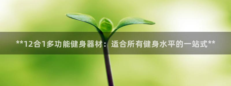 龙八国际娱乐老板是谁