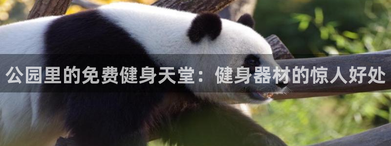 龙8国际app客户端下载