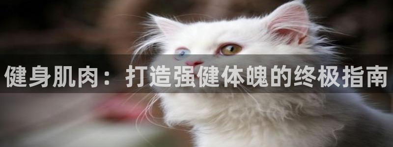 龙8国际最新官网