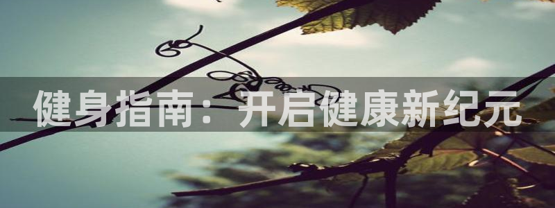 龙8国际官网