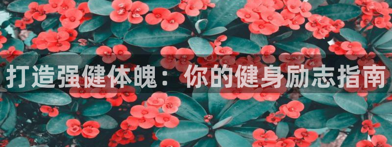 龙8国际总代理