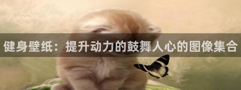 龙八国际登录入口