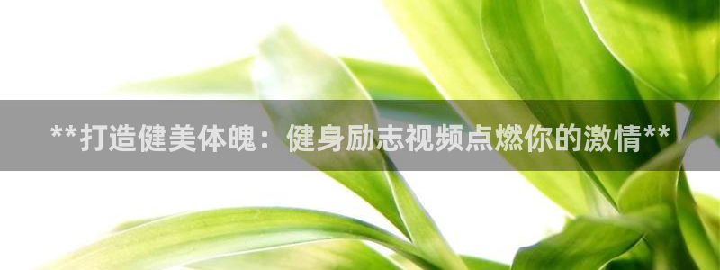 龙8国际pt网址