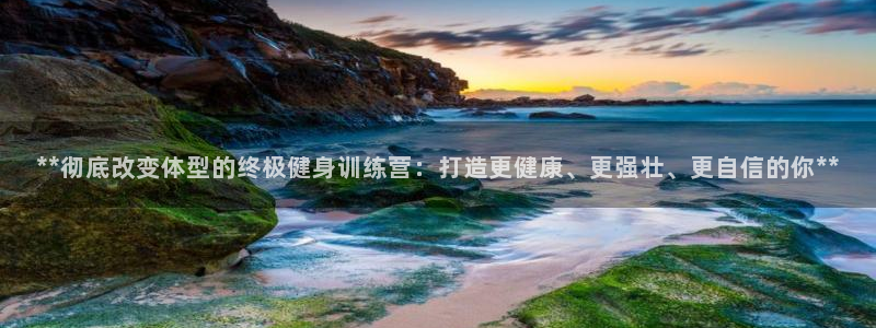 龙8国际手机版app