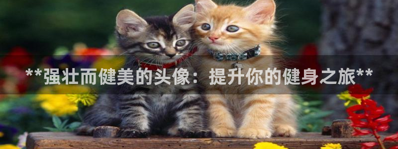 龙8国际官网多少