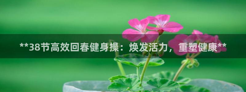 龙八国际官方网站app登录