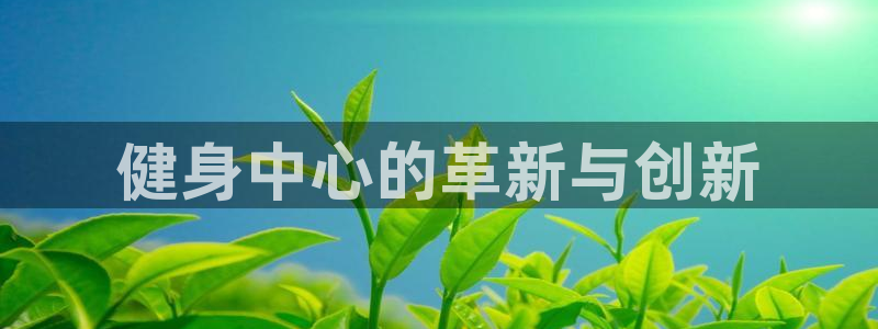 龙8国际3.0