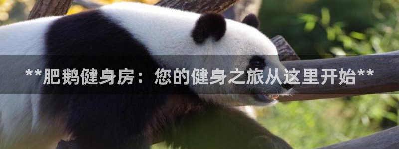 龙8国际app官网下载
