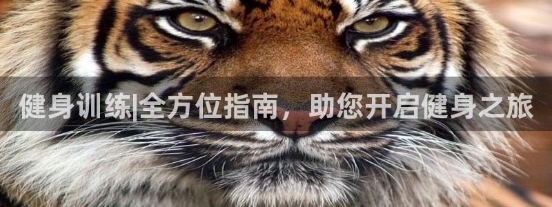 龙8国际手机版下载
