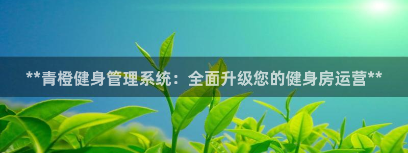龙8国际开户