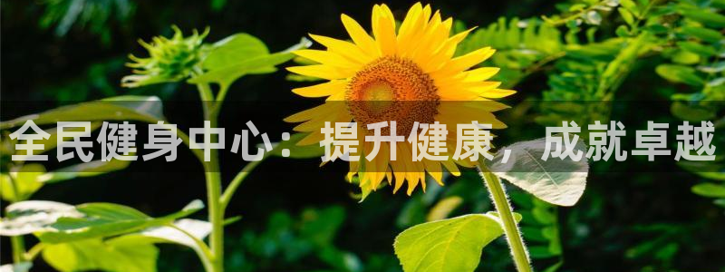 龙8国际官方网站龙8国际pt老虎机