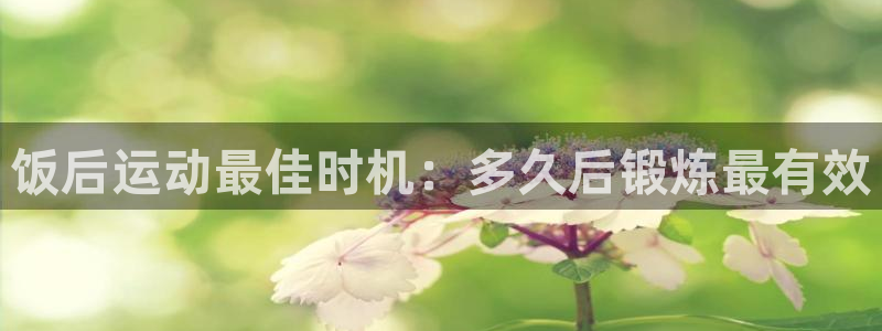 龙8国际app下载手机版