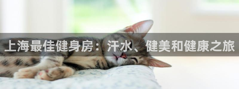龙8国际pt客户端下载