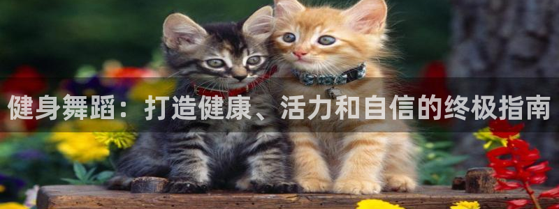 龙8国际提现