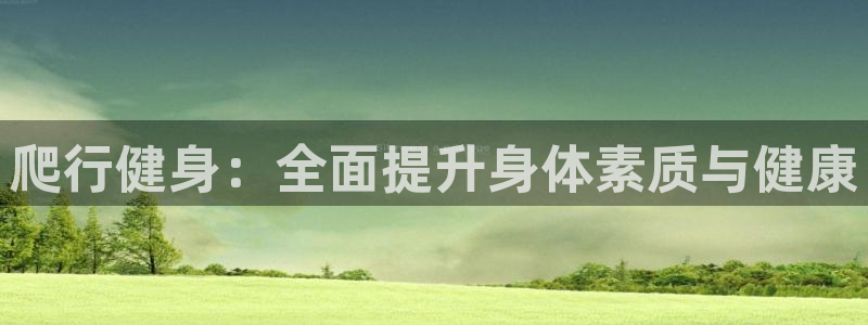 龙8国际.apk