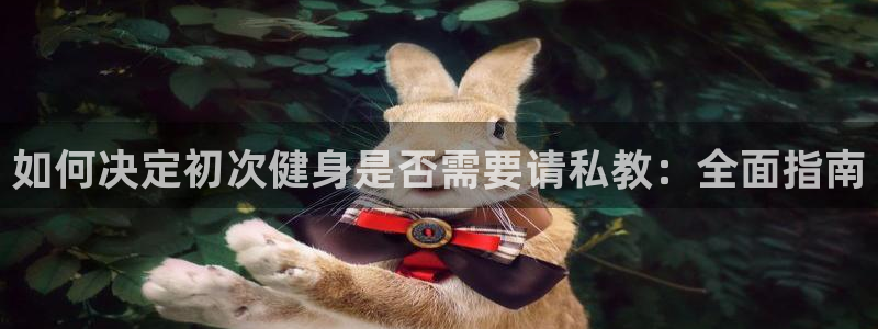 龙8国际官方网