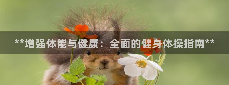龙8国际手机登