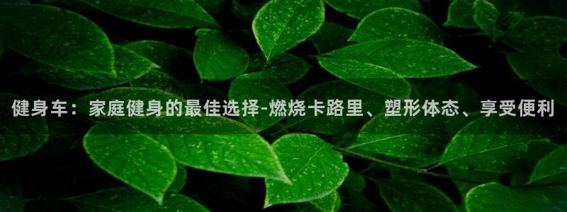 龙8国际的官方网站
