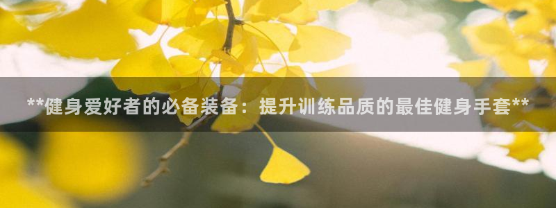 龙8国际的漏洞
