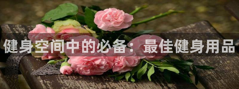龙8官网游戏