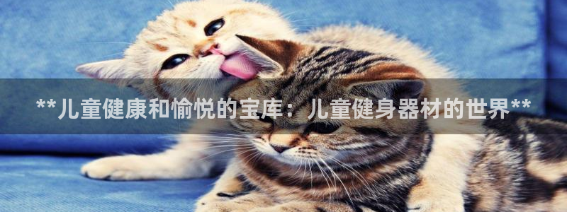 龙8国际网页版下载
