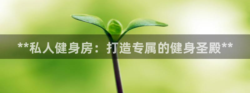 龙8国际正规吗