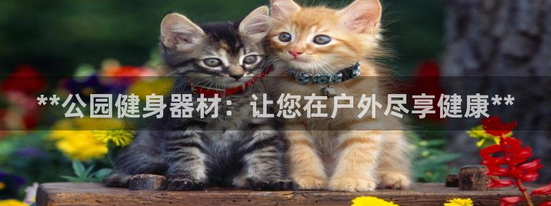 龙8游戏官方进入