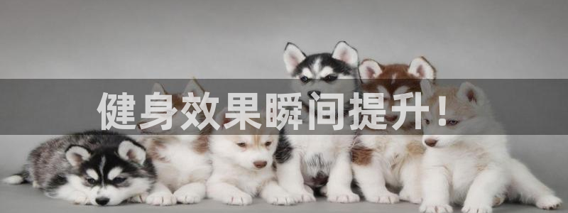 龙8国际官网进入