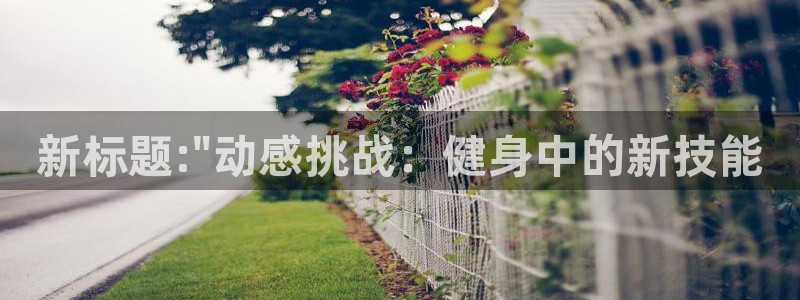 龙8国际官网