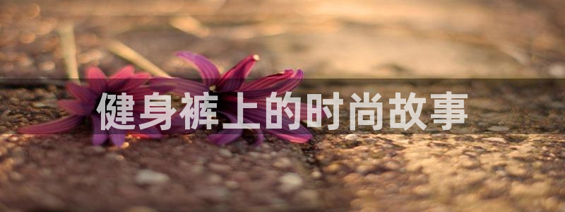 龙8国际网页版