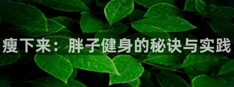 龙8国际首页
