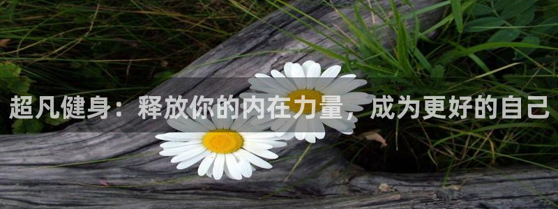 龙8老虎机手机版