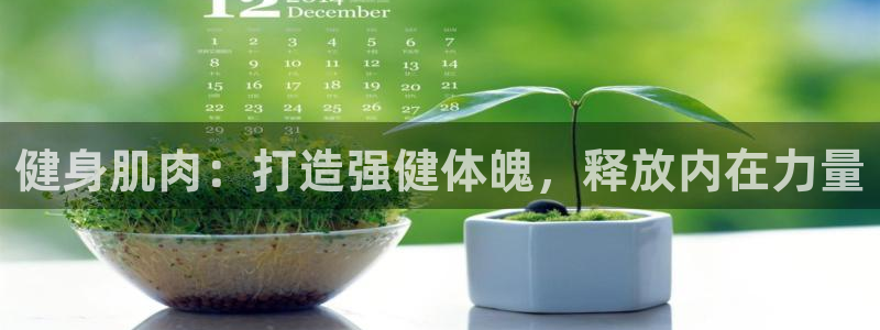 龙8app 国际